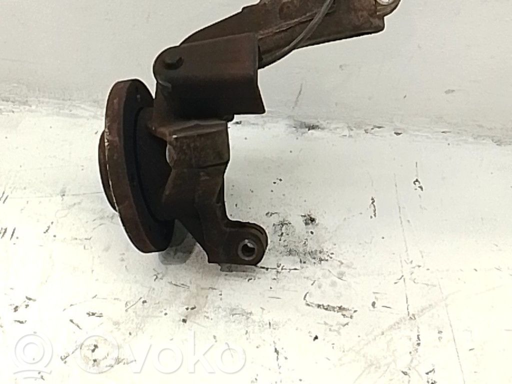 Peugeot 206+ Fuso a snodo con mozzo ruota anteriore