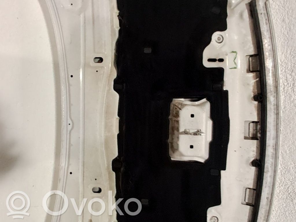Motorhaube   5262148,CJ54S16612AJ