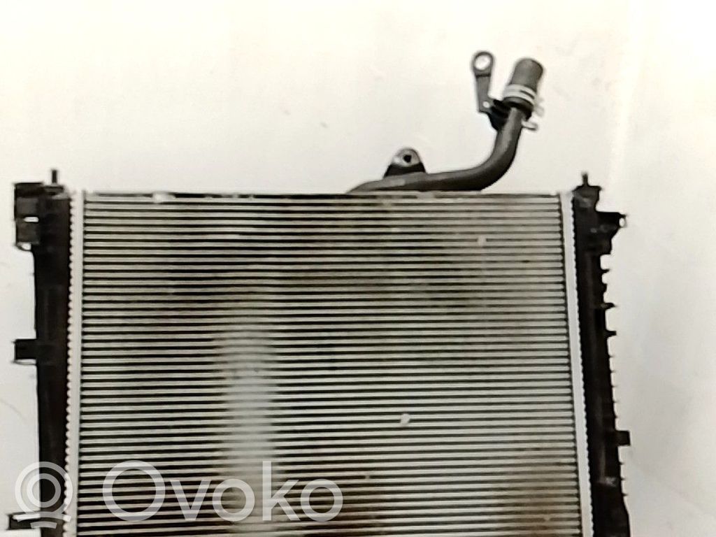Wasserkühler   214103645R