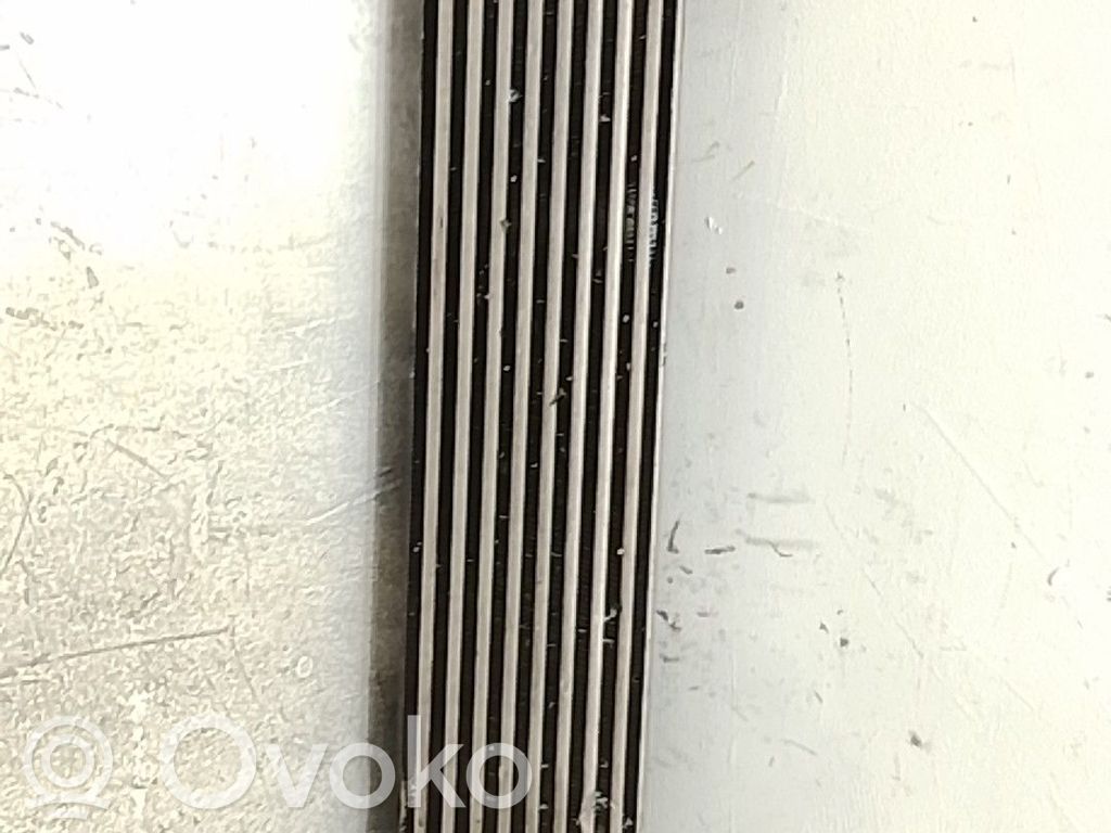 Interkūlerio radiatorius   95523073