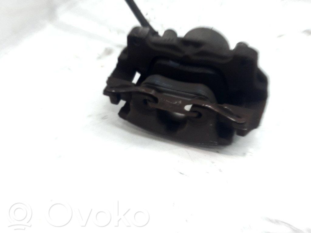 Etujarrusatula   LR015387