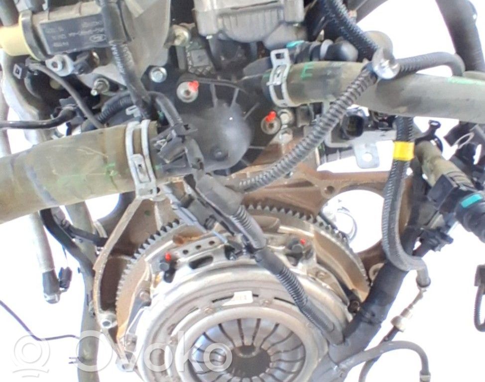Austauschmotor   SFCA,2239292,C1BG6006FB