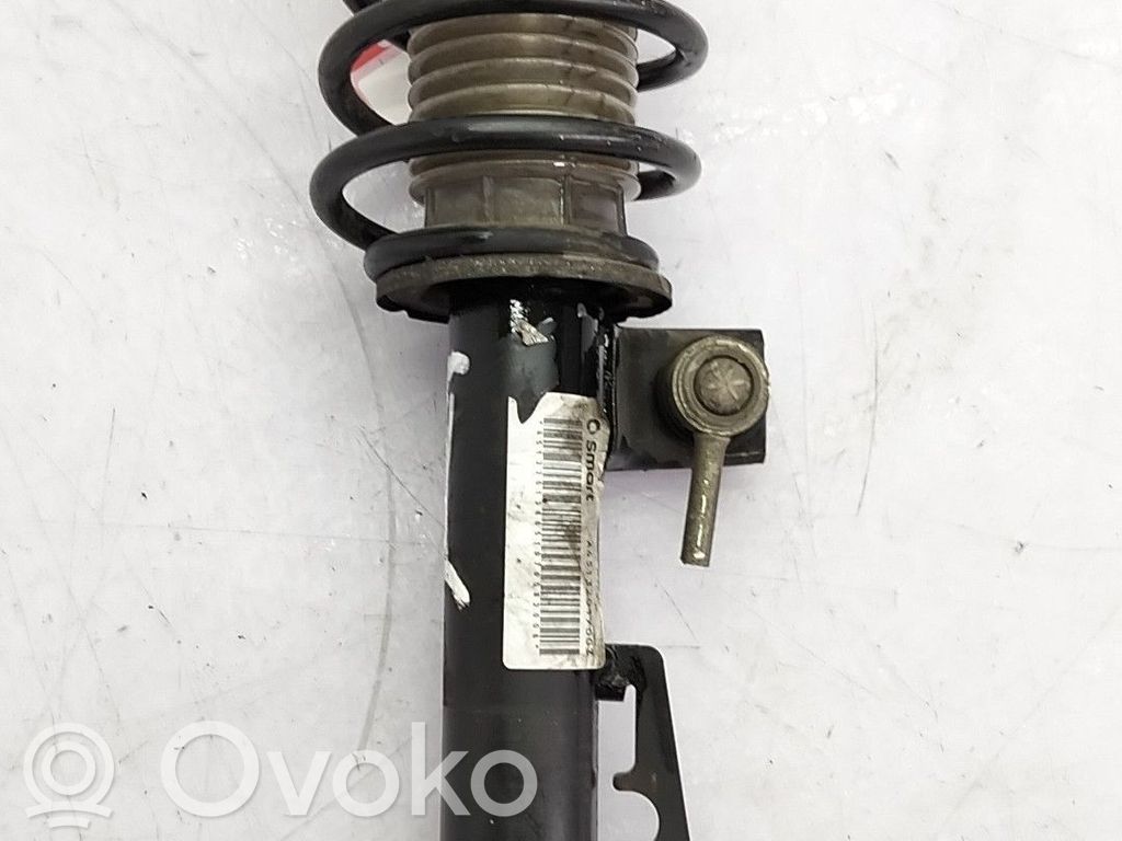 Amortiguador delantero   A4513202531