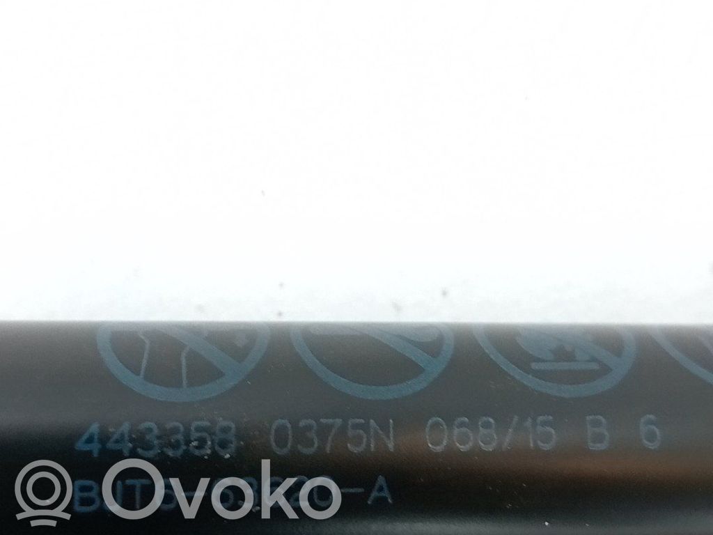 Mazda 3 II Amortiguador del maletero/compartimento de carga 