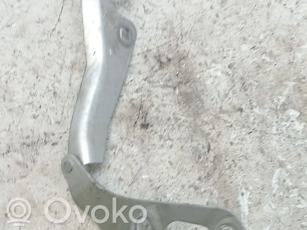 Cerniere del vano motore/cofano   13213450