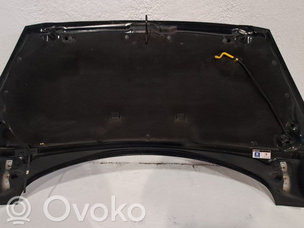 Vano motore/cofano   7901P6