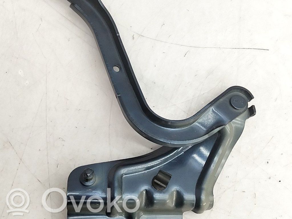 Konepellin saranat   654002203R