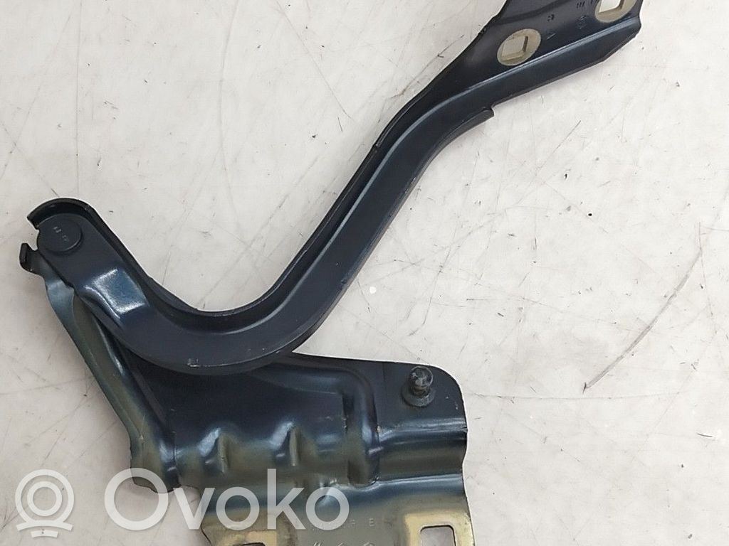 Cerniere del vano motore/cofano   654012880R
