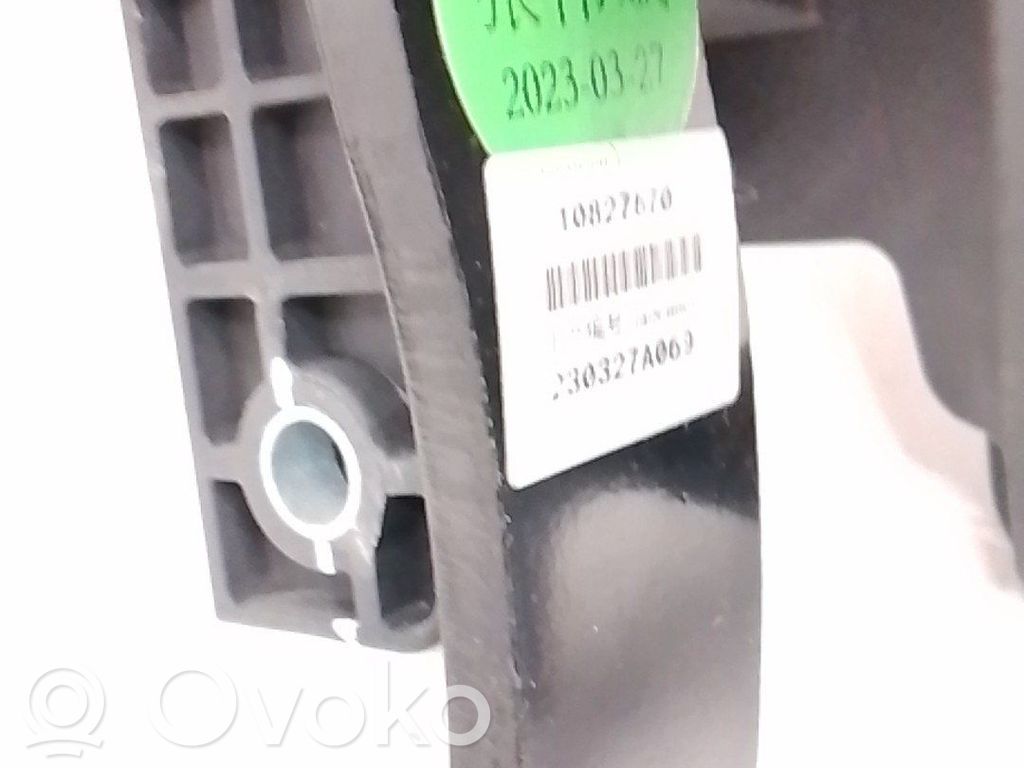 Pedală frână   10827570
