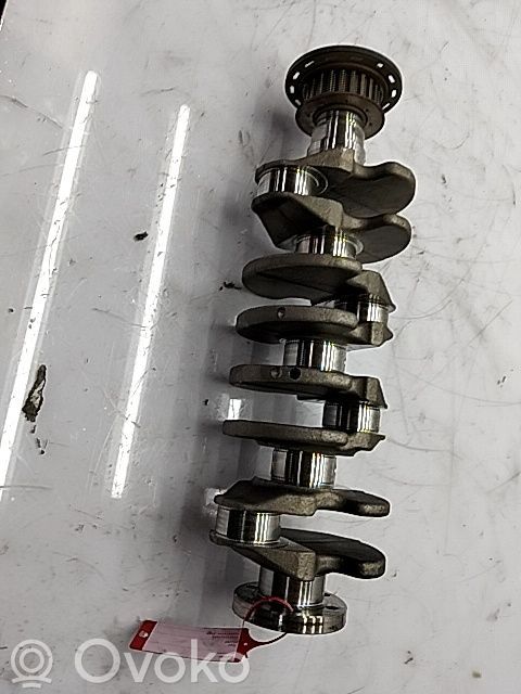 Crankshaft   2213535