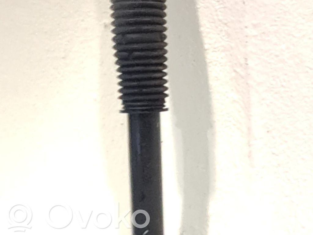 Ammortizzatore posteriore   55311F1550