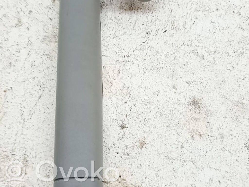 Porsche Cayenne (9PA) Asidero (moldura superior) 