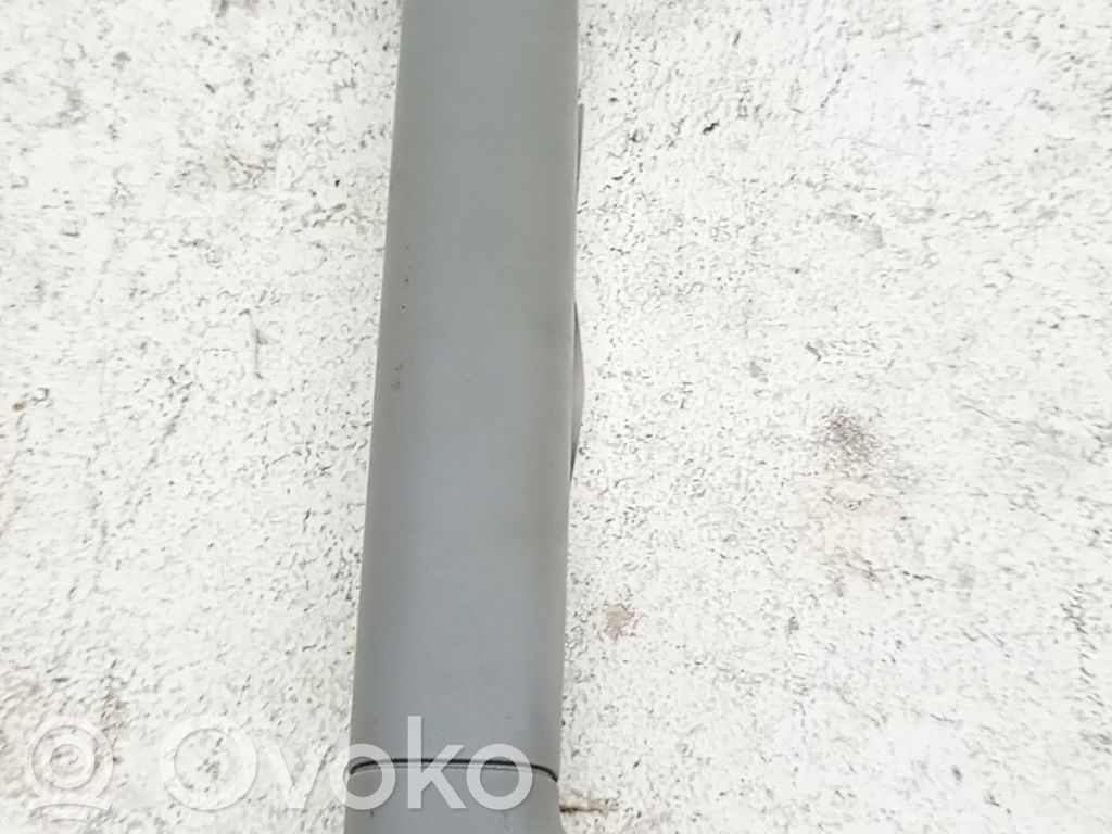 Porsche Cayenne (9PA) Asidero (moldura superior) 