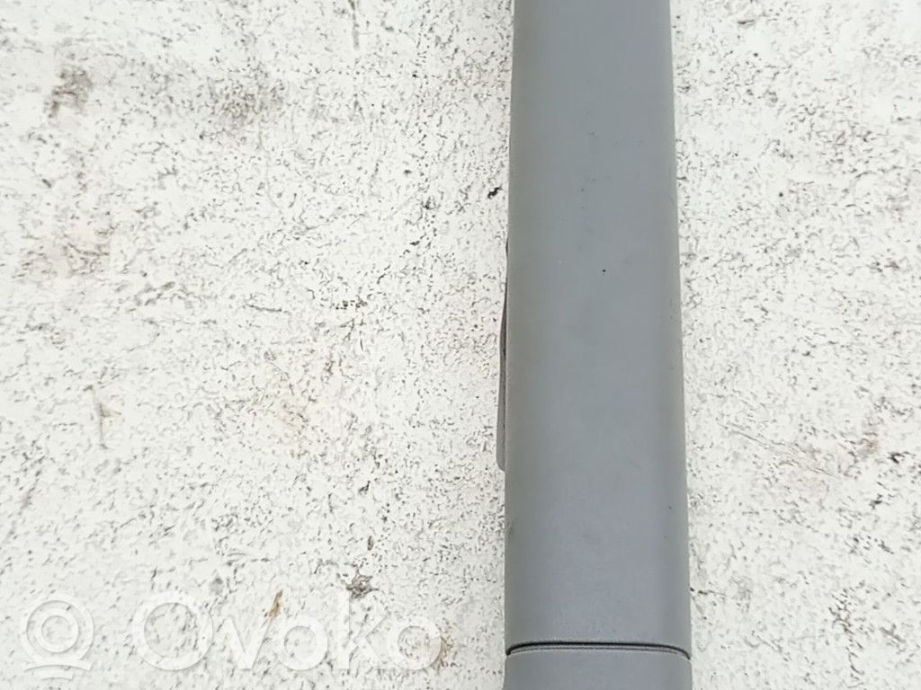 Porsche Cayenne (9PA) Asidero (moldura superior) 
