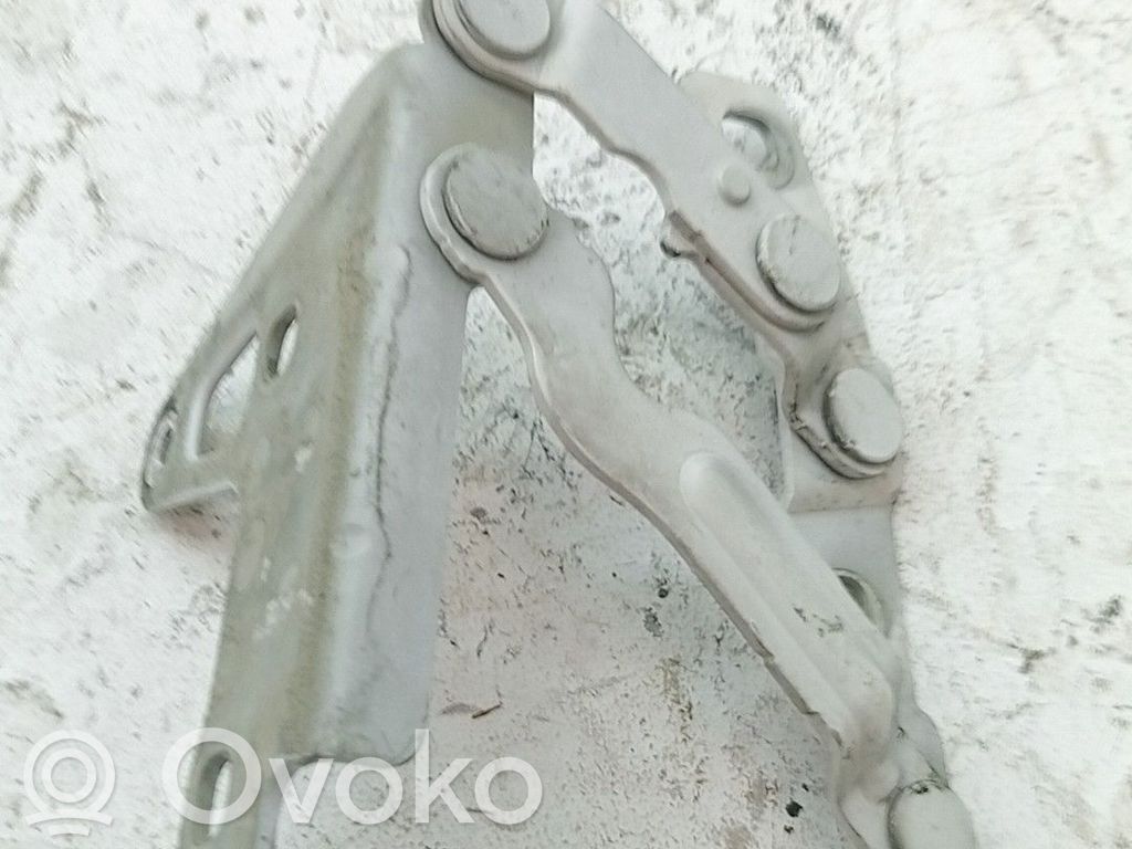 Seat Leon (1P) Cerniere del vano motore/cofano