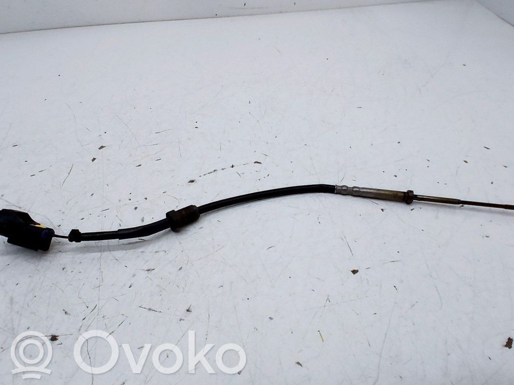 Toyota Land Cruiser (J150) Sensore di temperatura dei gas di scarico