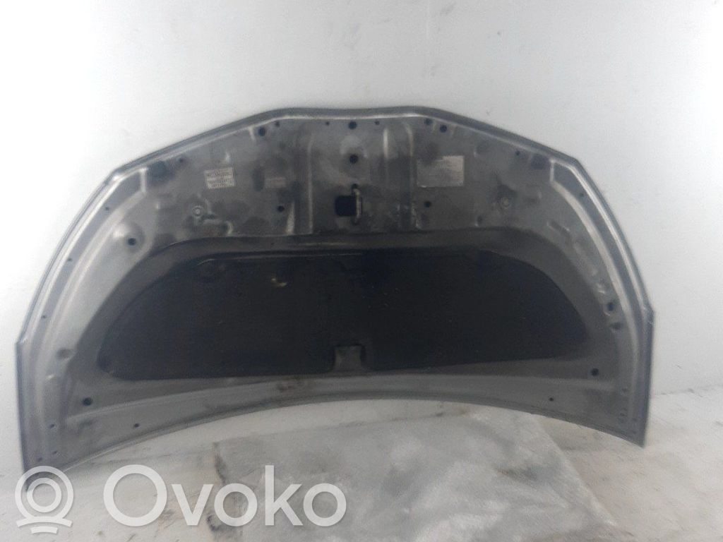 Capó/tapa del motor   533010D130