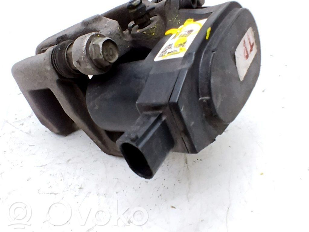 Takajarrusatula   58311D7A00