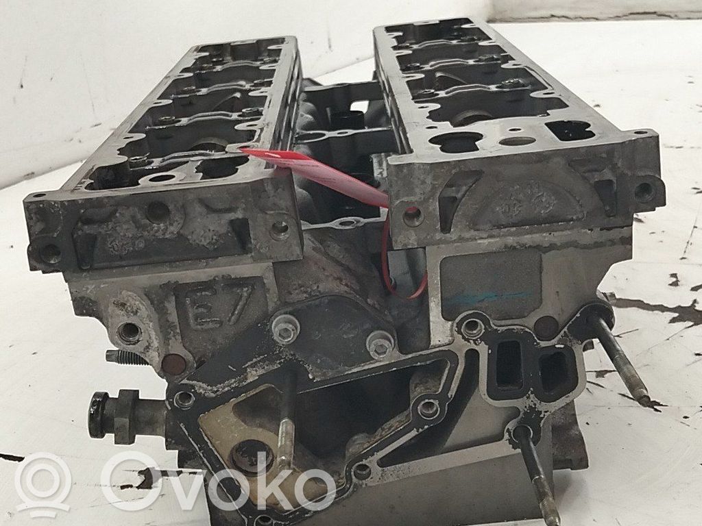 Galvutė   0200Z4