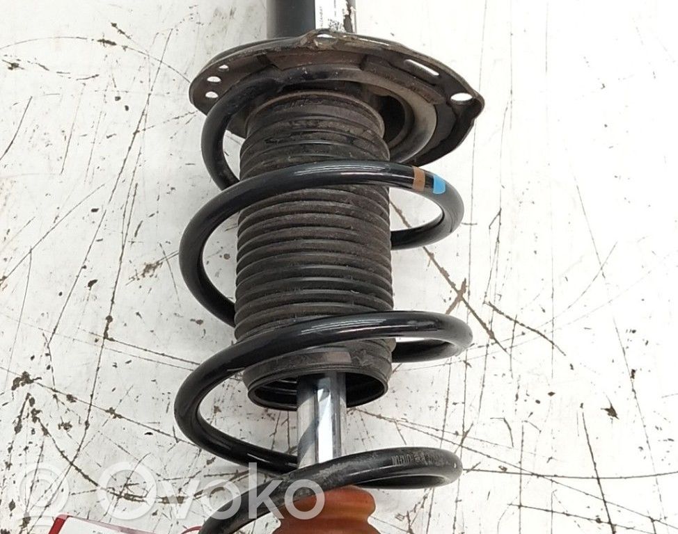 Amortiguador delantero   1EA413023BB