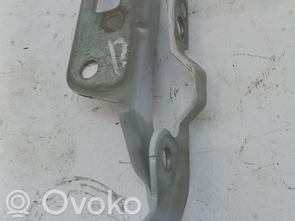 Volkswagen Golf VIII Balamale capotă 