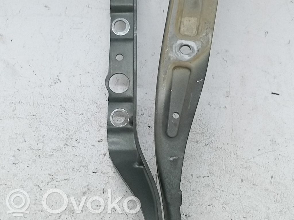 Peugeot 407 Balamale capotă