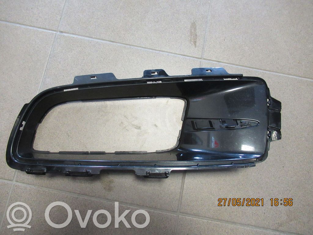 BMW X5 E70 Front bumper lower grill 