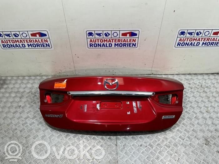 Tailgate/trunk/boot lid