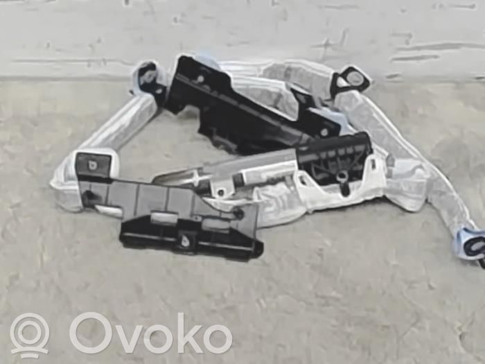 Airbag del techo   846966859069,846966859069