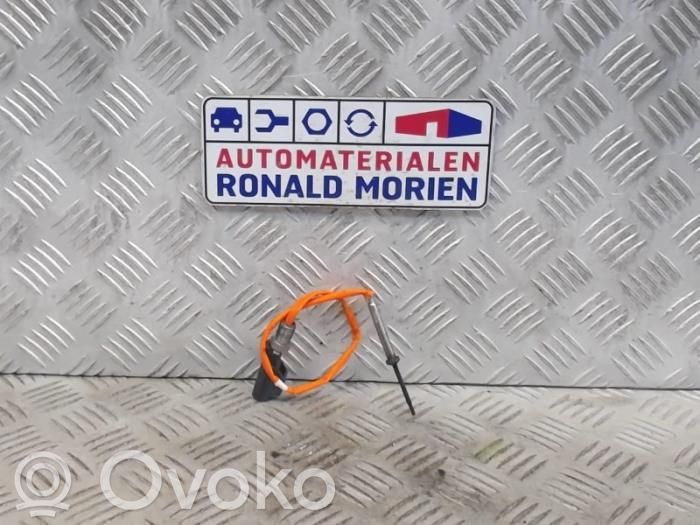 Ford Ecosport Czujniki ciśnienia spalin 