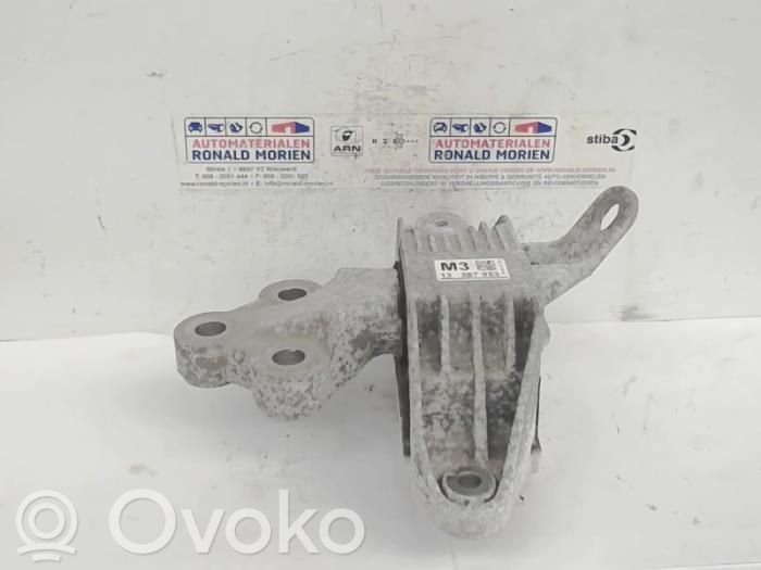 Engine mount bracket   13287953