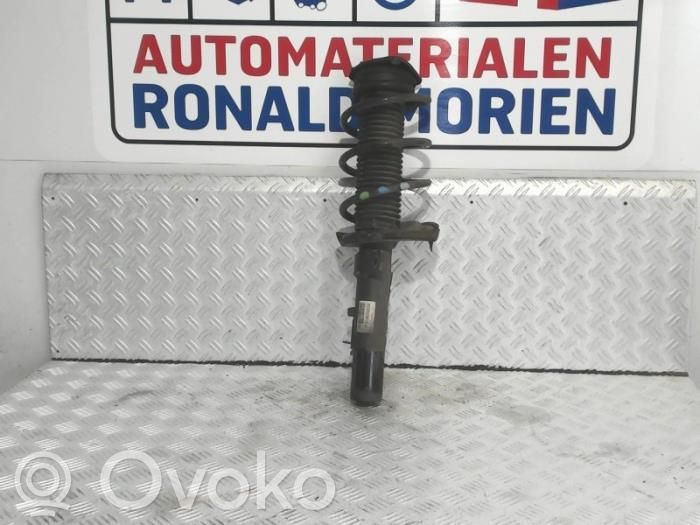 Priekšpusē amortizators   31406829
