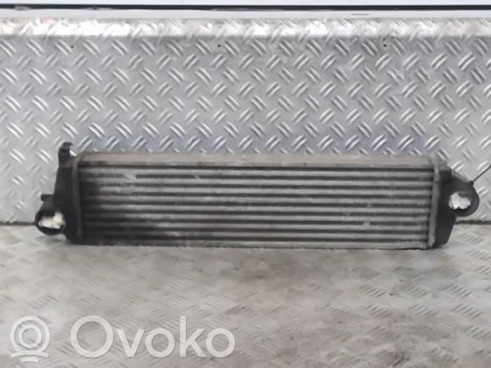 Intercooler radiator