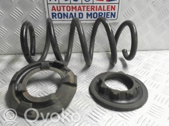 Tesla Model 3 Rear coil spring 