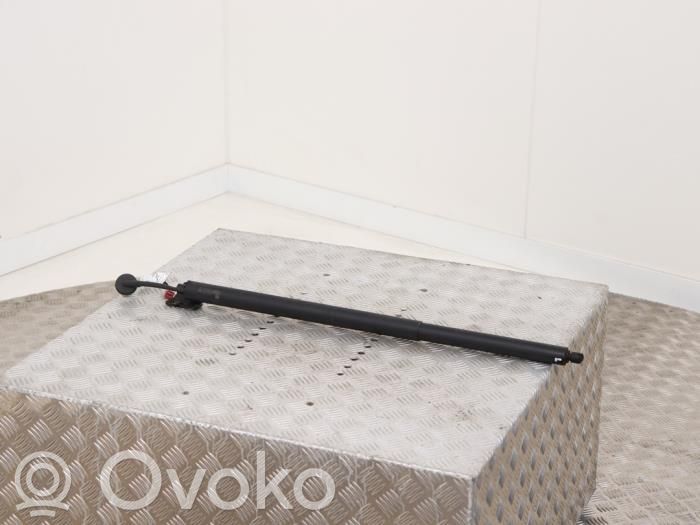 Ford Mustang Mach-E Tailgate strut 