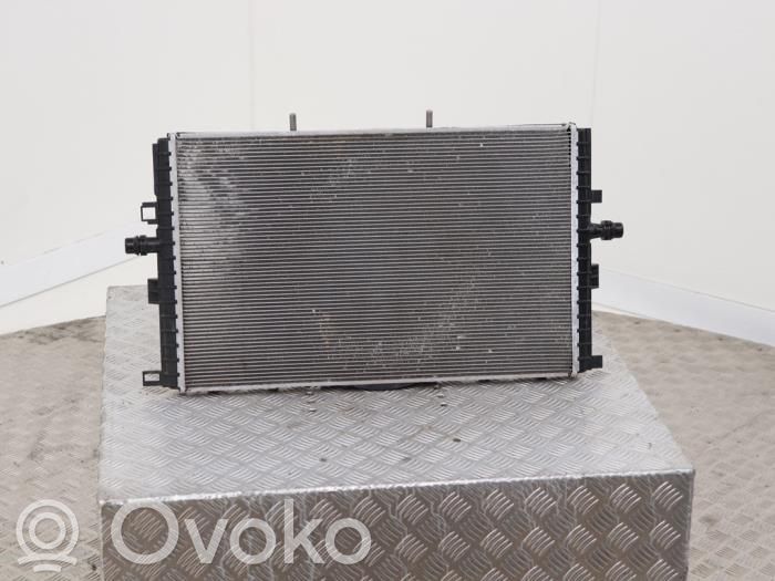 Tesla Model 3 Aušinimo skysčio radiatorius 