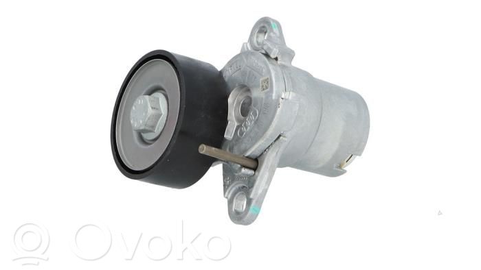 Volkswagen Golf VII Întinzător curea alternator 
