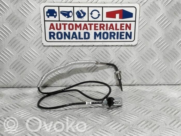 Volkswagen Transporter - Caravelle T6 Izmešu sensors 