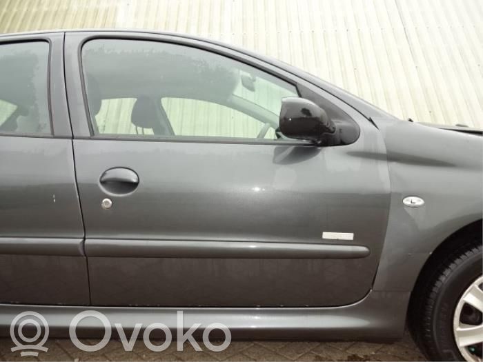 Peugeot 206 Puerta delantera 