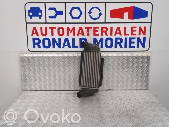 Ford Fiesta Radiatore intercooler 