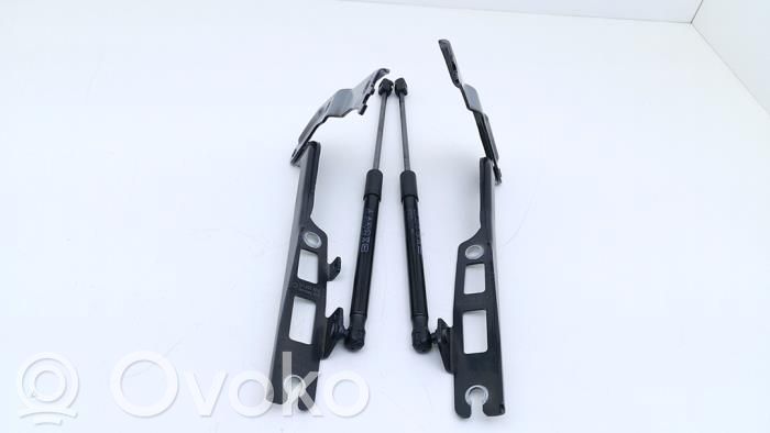 Volkswagen Tiguan Zawiasy pokrywy / maski silnika 