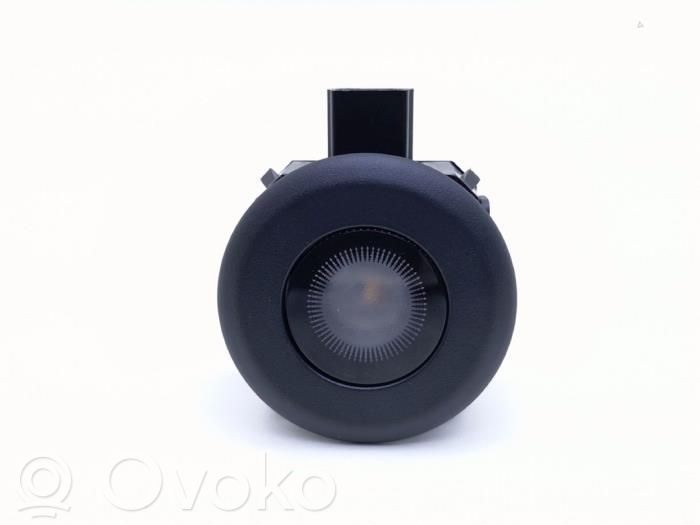 Renault Austral Front seat light 