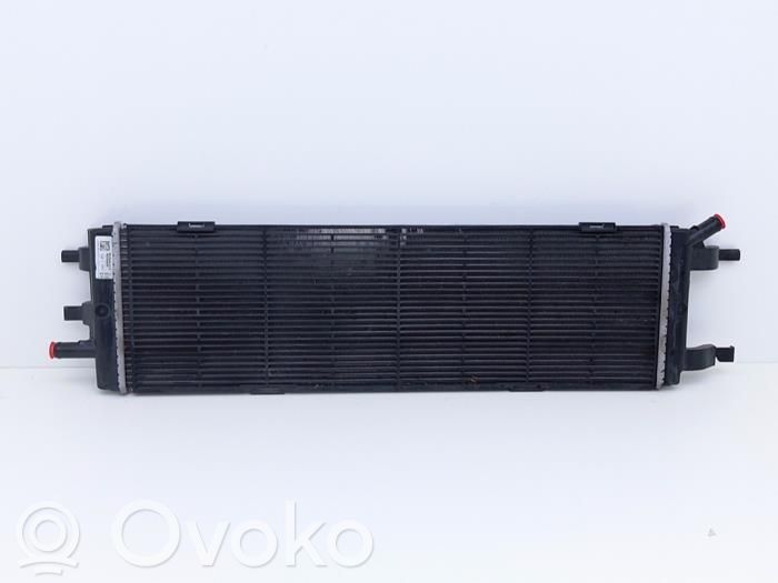 Renault Austral Coolant radiator 
