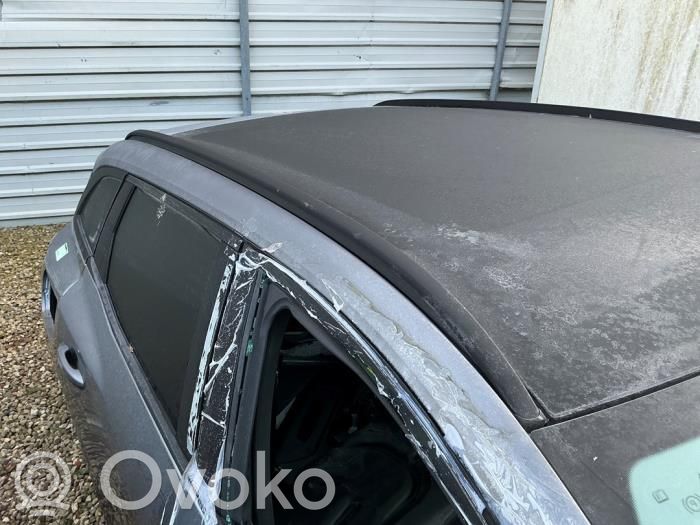 Renault Austral Kattokisko 