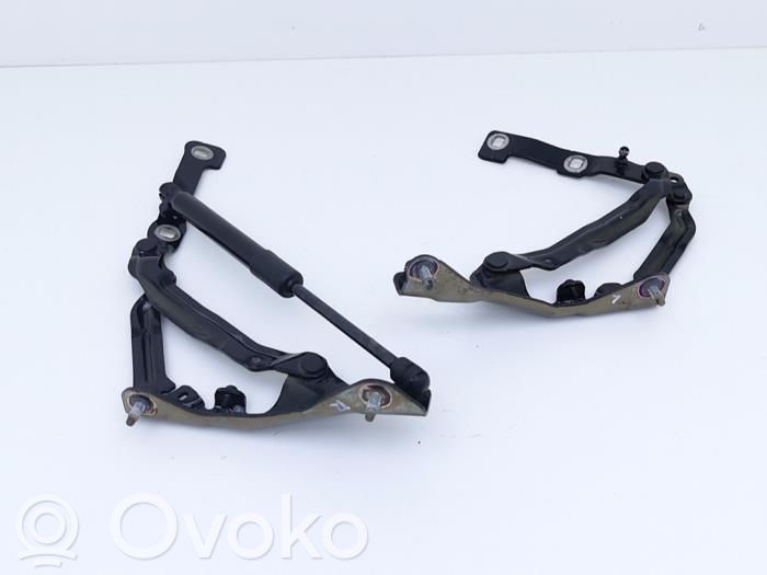 Tesla Model 3 Tailgate/trunk/boot hinge 