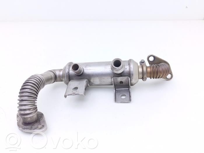 Ford Focus Răcitor supapă EGR