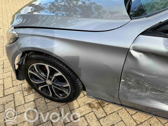 Mercedes-Benz C W205 Guardabarro 