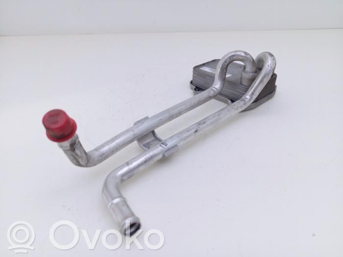 Volkswagen Beetle A5 Supporto di montaggio del filtro dell’olio