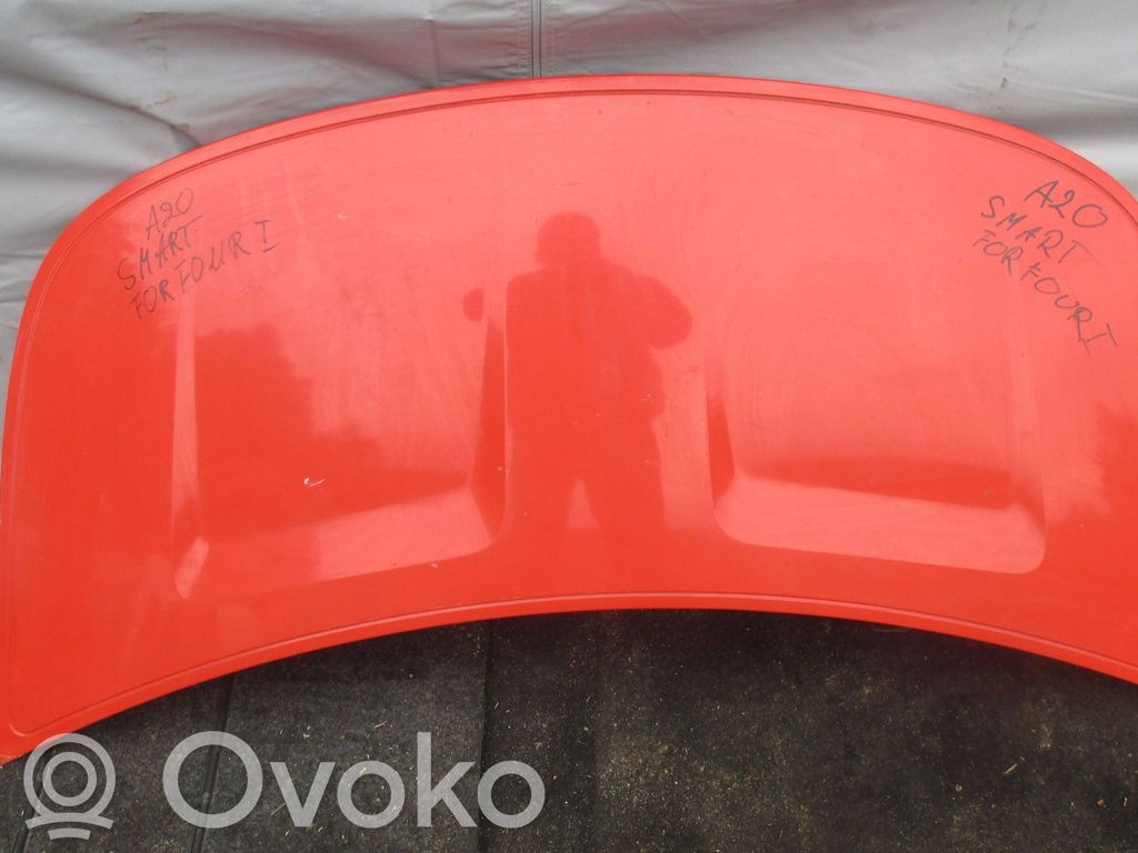 Engine bonnet/hood
