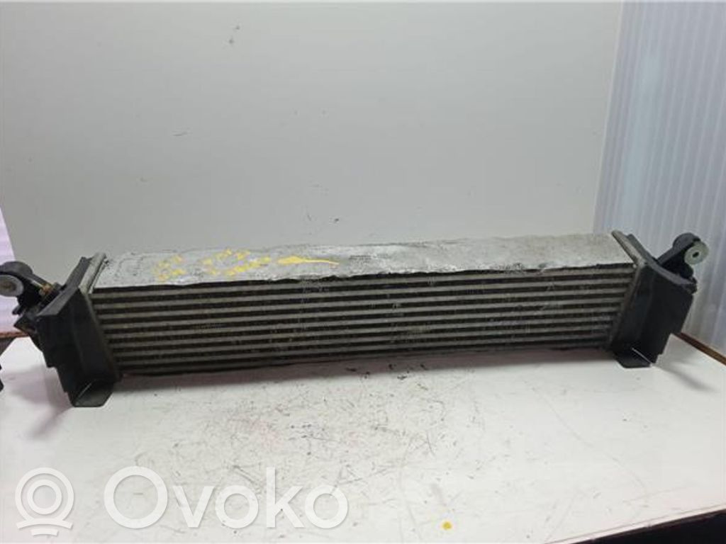 Interkūlerio radiatorius   1271004114